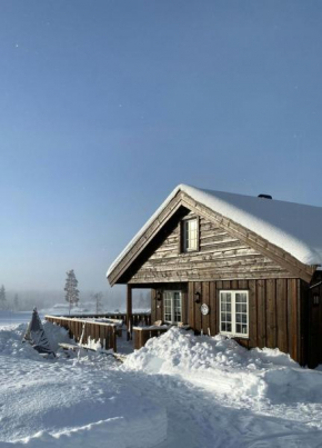 Family Cabin With Ski In-Out At Furutangen